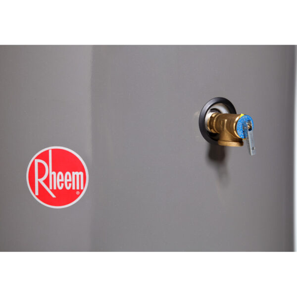 Termotanque a Gas Rheem - Image 2
